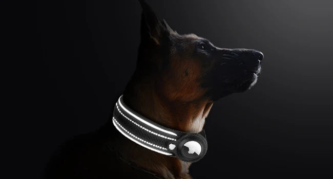 Find-oo Tiere Hundehalsband mit Tracker-Halterung – Reflektierend, Gepolstert & Verstellbar