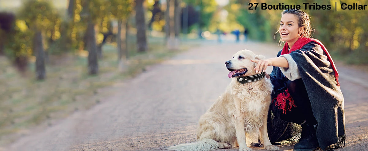 Find-oo Tiere Hundehalsband mit Tracker-Halterung – Reflektierend, Gepolstert & Verstellbar